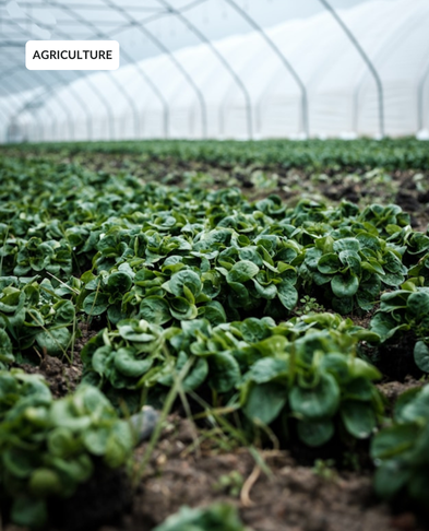 agri agri